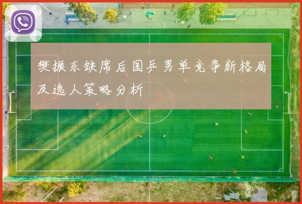 樊振东缺席后国乒男单竞争新格局及选人策略分析